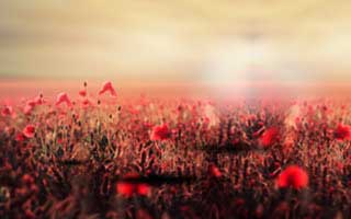 国足的调整不靠喊，ATP巡回赛里体能教练一个手势就把节奏掰回来